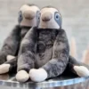 Animale Ponderato - Bradipo