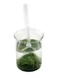 Apparecchio dimostrazione produzione ossigeno piante acquatiche