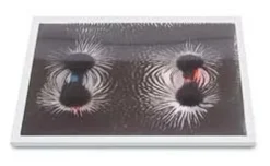 Apparecchio per linee di campo magnetico, bidimensionale