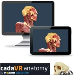 CadaVR Anatomy PERSONAL - Licenza STUDENT 3 anni ING.
