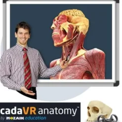 CadaVR Anatomy PROFESSIONAL - Licenza TEACHER - 1 anno ING.