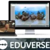 ClassVR - Licenza EDUVERSE - Sottoscrizione contenuti per 3 anni
