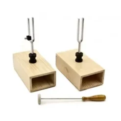 Coppia di diapason
