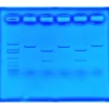 CRISPR per Trattare la Fibrosi Cistica