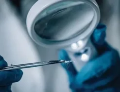 Da chi è stato lasciato il DNA?