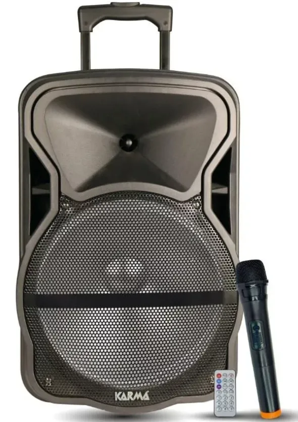 Diffusore amplificato con radiomicrofono 600W PMPO