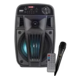 Diffusore amplificato 100W