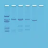 DNA Paternity Testing Simulation
