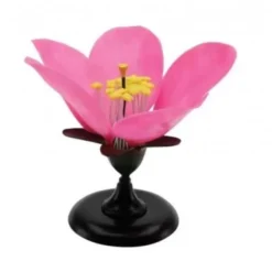 Fiore di pesco