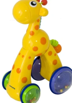 Giraffa