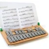 Glockenspiel diatonico+cromatico soprano con portaspartito 22 note