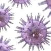 Identificazione del virus di Epstein-Barr mediante ELISA