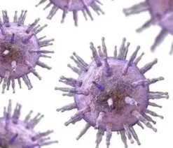 Identificazione del virus di Epstein-Barr mediante ELISA