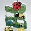 Il ciclo vitale della coccinella