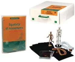 Il mio scheletro