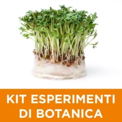 Kit di esperimenti di botanica