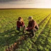 Kit LoraWan Agricoltura di precisione