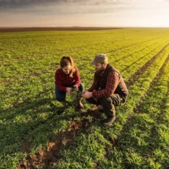 Kit LoraWan Agricoltura di precisione