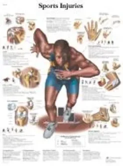 Lesioni in seguito ad attività sportiva - tavola 50x67 cm