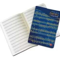 MAXIQUADERNO MUSICA 21X29,7CM 32FG 100GR 12 PENTAGRAMMI