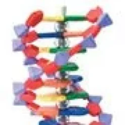 Modello miniDNA con 12 segmenti