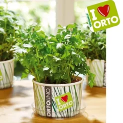 Ortolino prezzemolo