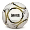 Pallone da calcio
