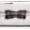 PASCO Dimostratore campo magnetico 3D SE-8603