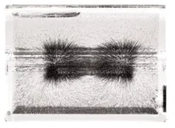 PASCO Dimostratore campo magnetico 3D SE-8603