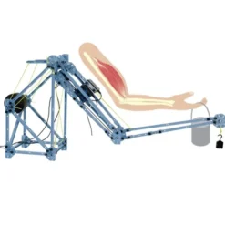 PASCO Human Structures Set ME-7001