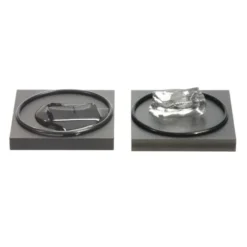 PASCO Ice Melting Blocks SE-7317