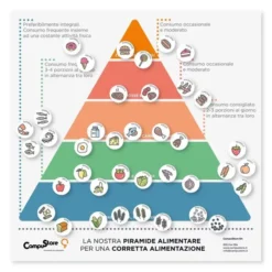 Piramide alimentare magnetica 70x70 + 40 magnetini