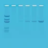 Principi della PCR