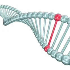 Rilevazione del gene del cancro