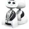 Robot Buddy Pro Accessorio Sticker Maggiordomo