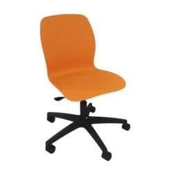 Rolly zucca - Sedia su ruote ad altezza regolabile