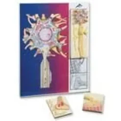 SERIE NEUROFISIOLOGIA 5 MODELLI MAGNETICI