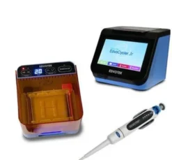 Sistema integrato per elettroforesi con PCR