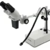 Stereomicroscopio binoculare ST-50Led