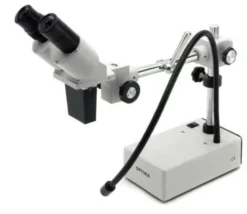 Stereomicroscopio binoculare ST-50Led