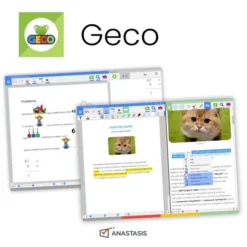 SW "GECO" vers. IT - 1 Licenza triennale - Software Compensativo