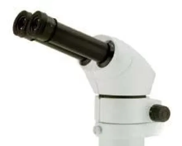 Testata binoculare completa di oculari WF10x/22mm zoom0,8x....6,4x