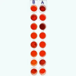 Tipizzazione del sangue ABO simulata