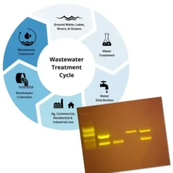 Tracciamento delle malattie tramite PCR sulle acque reflue