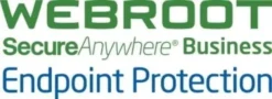 WEBROOT 3 ANNI LICENZA FASCIA 10-99
