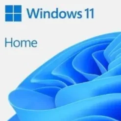 WINDOWS 11 HOME 64BIT All LNG LIC ONLINE DWNLD ESD